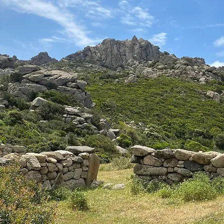 Contemporary In Southern Corsica Tatil Evi *