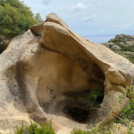 Contemporary In Southern Corsica