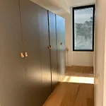 Contemporary In Southern Corsica