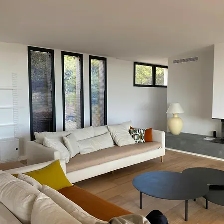 度假居 Contemporary In Southern Corsica 莫纳奇亚道勒内