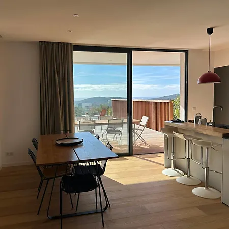 度假居 Contemporary In Southern Corsica 莫纳奇亚道勒内