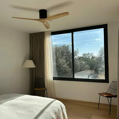 Contemporary In Southern Corsica Monacia-d'Aullene