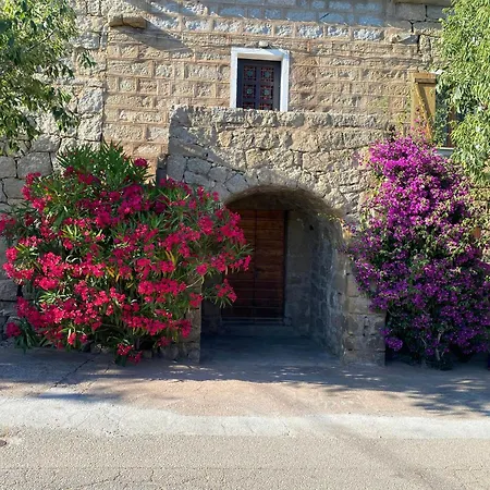 Contemporary In Southern Corsica Monacia-d'Aullene