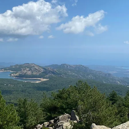 Contemporary In Southern Corsica *