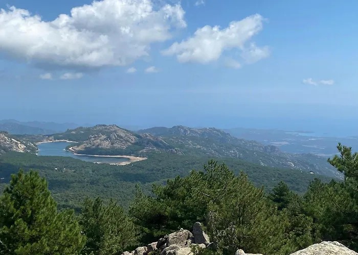 Contemporary In Southern Corsica *