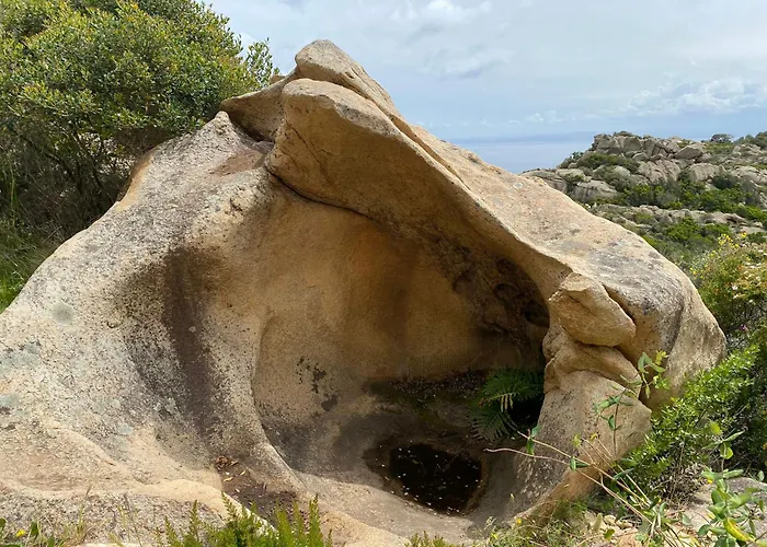 Contemporary In Southern Corsica